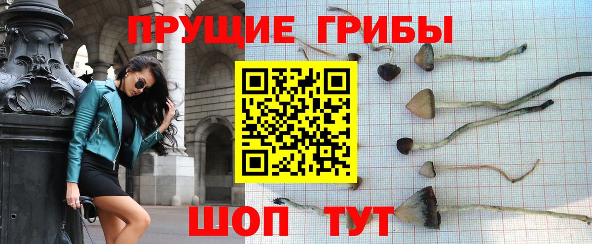 Тула  Псилоцибиновые грибы GOLDEN TEACHER  Псилоцибиновые грибы Psilocybe  Вход с VPN 